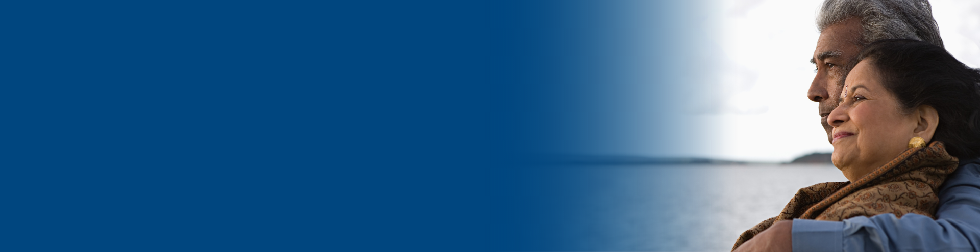 Web article banners (30)