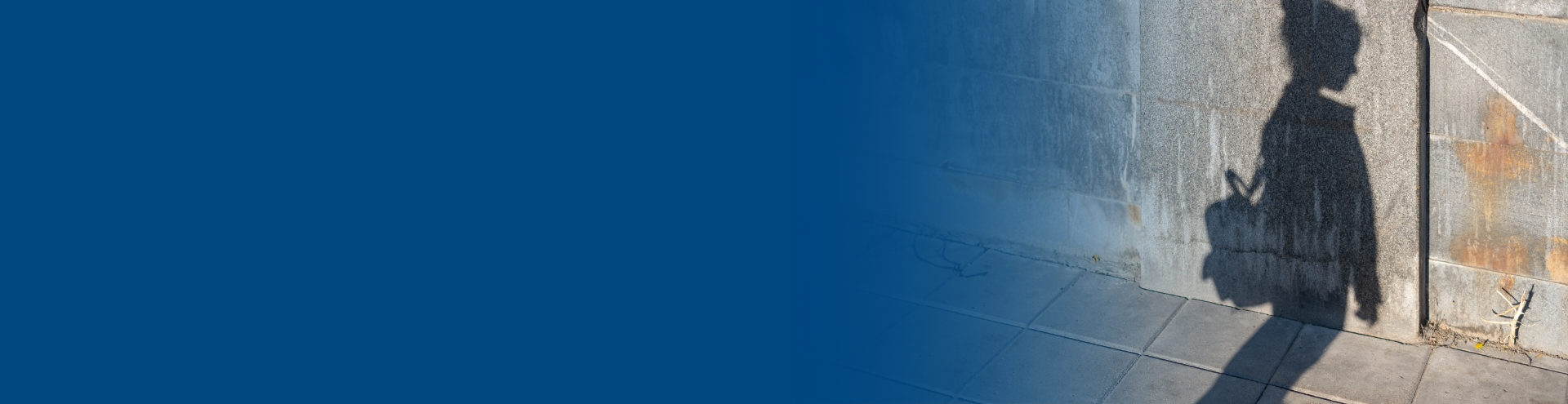 Web article banners (1)